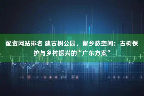 配资网站排名 建古树公园，留乡愁空间：古树保护与乡村振兴的“广东方案”