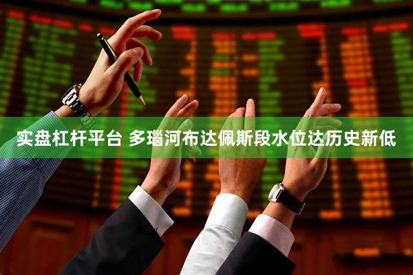 实盘杠杆平台 多瑙河布达佩斯段水位达历史新低